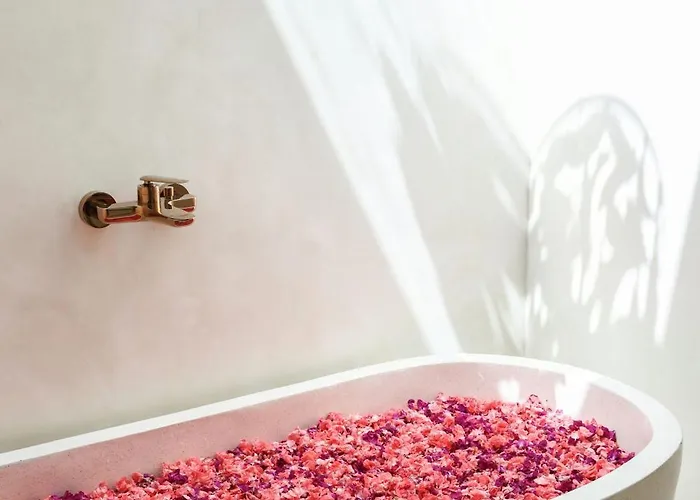 Coconut ヴィラ